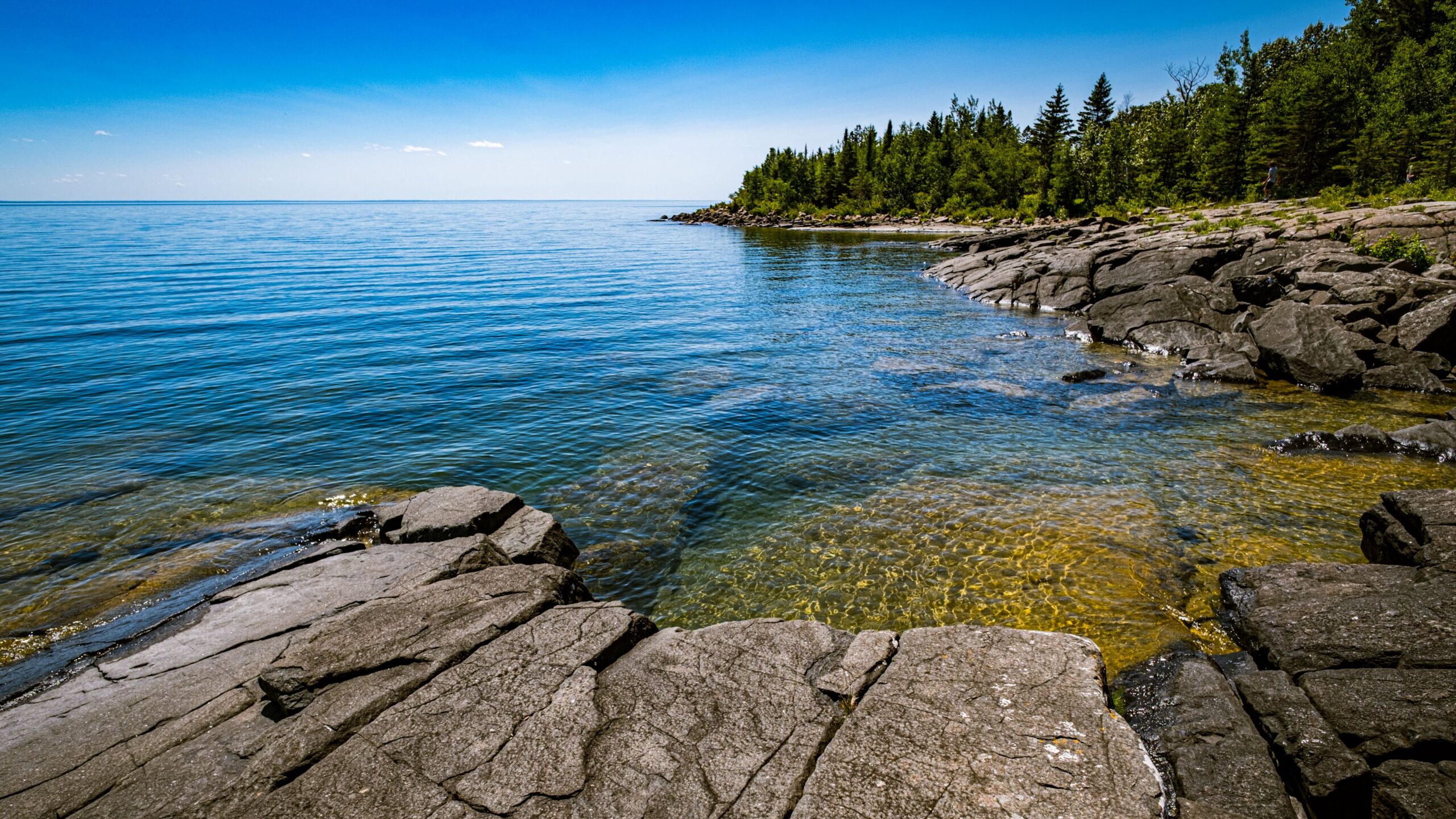 rocks_sea_ripples_water_stones_trees_nature_ocean_blue_sky_forest_4k_hd_nature